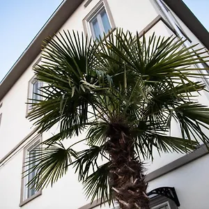 Guest house Le Palme, Parma